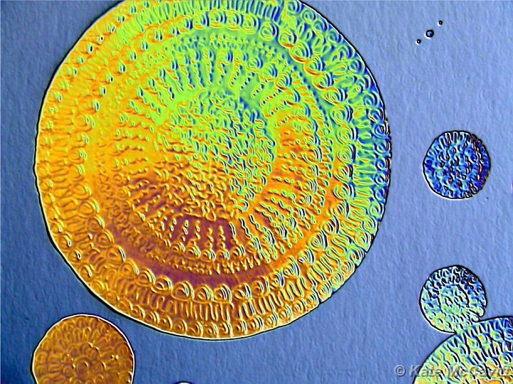 22   Bronze Foil Spheres 005.JPG