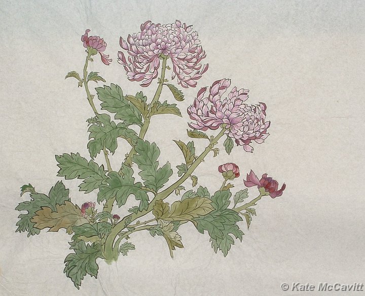 1991 Chrysanthemum 2.JPG